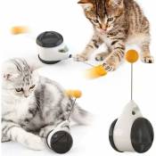 Fei Yu - Jouet interactif pour chat - balançoire équilibrée - Balle rotative à 360 degrés - Avec herbe à chat - Stimule l'instinct de chasse
