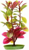 Marina Lugwigia Plante en Plastique pour Aquarium Rouge
