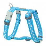 Red dingo - harnais design pour chien - bleu étoiles blanches - xl