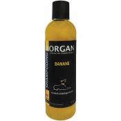 Morgan - Shampoing protéiné Banane : 250ml
