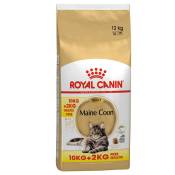 10+2kg Maine Coon Adult Royal Canin Croquettes pour