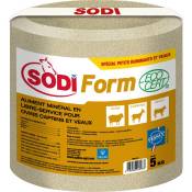 Salins - Bloc à lécher SodiForm pour Veaux, Ovins et Caprins 5 Kg