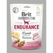 Friandise brit snack endurance agneau