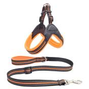 Harnais et Laisses KELLY kit pour chien - Orange (Taille: