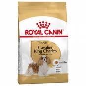 Cavalier King Charles Adult sac de 3 kg ROYAL CANIN