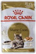 Royal Canin Chat Maine Coon Adulte Nourriture, 12 X