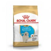 Royal Canin Golden Retriever Puppy - Croquettes pour