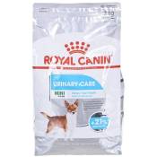Royal Canin - Mini Urinary Care ccn - Croquettes pour