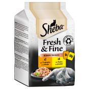 6x50g Sheba Délices du jour Fresh & Fine Poulet et dinde en sauce - Pâtée pour chat