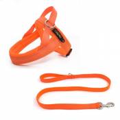 Harnais et Laisses KELLY Nylon kit pour chien - Orange (Taille: M)