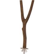 Natural Living Perching Stick Forme en y Taille - 20
