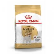 Royal Canin Jack Russell Adult - Croquettes pour chien-Jack