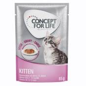 12x85g Kitten en sauce Concept for Life - Sachets et