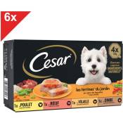 Cesar - 24 Barquettes en terrine coeur de légumes pour chien 150g (6x4)