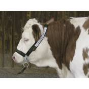 Kerbl - Licol pour vaches en Trévira avec chaîne jugulaire + anneau