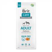 BRIT CARE Small & Medium Adult Skin & Coat Grain Free