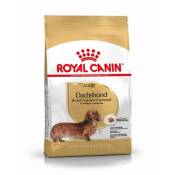 Croquette chien royalcanin teckel adult 1,5kg ROYAL CANIN 30590150