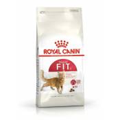 Croquettes Chat Royal Canin Fit 32 : 10 kg