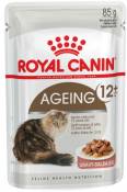 Nourriture Humide Ageing +12 Gravy 85 gr Royal Canin