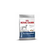 Royal Canin - Nourriture que Maxi Dermacomfort Les chiens de grande taille (soins de la peau) - 3kg