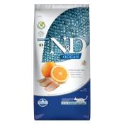 5kg Farmina N&D Ocean sans céréales Hareng et orange