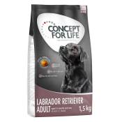 Concept for Life Labrador Retriever Adult pour chien - 1,5 kg