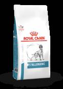 Nourriture Anallergenic 8 KG Royal Canin