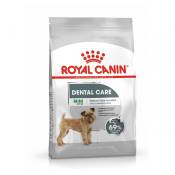 Royal Canin Mini Dental Care - Croquettes pour chien-Mini Dental Care Adulte