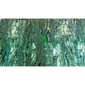 Trixie - Fond décor de terrarium, biface, forêt trop/écorce - 60 × 150 cm
