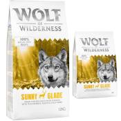 12kg Adult Sunny Glade, cerf Wolf of Wilderness - Croquettes
