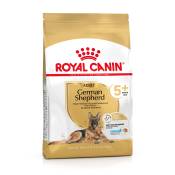 12kg Royal Canin Berger allemand Adult 5+ - Croquettes pour chien