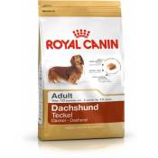 Royal Canin - Dachshund Adult 1,5 kg Aliment complet pour chiens Spécialement conçu pour les teckels adultes et âgés Peut aider à protéger les os et