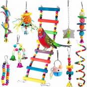 Thousand Stairs Lot de 10 jouets de cage pour perroquets, perruches, calopsittes, conures, tourtereaux, cacatoès, petits animaux de compagnie HANBING