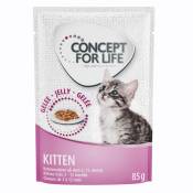 12x85g Kitten en gelée pour chaton Concept for Life - Nourriture pour chat