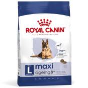 Lot Royal Canin Size grand format x 2 pour chien - Maxi Ageing 8+ (2 x 15 kg)