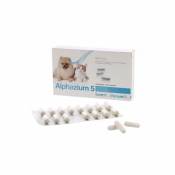 Alphazium 5 Anti Stress chien chat et nac 30 gélules - TVM