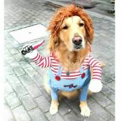 Costume de chien Costume de f��te d'animal Cosplay Costume pour animaux de compagnie l
