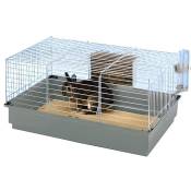 Cage pour lapin nain rabbit 80 new