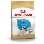 Croquette royalcanin french bulldog junior 3kg ROYAL CANIN 39900300