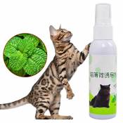 RUIBUY Herbe à Chat en Spray Vaporisateur Cat Naturals
