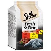 6x50g Sheba Délices du jour Fresh & Fine, Boeuf et