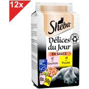 Sheba - Délices du Jour 72 Sachets poulet saumon en sauce pour chat 50g (12x6)