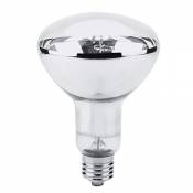 Ampoule Chauffante E27 UVA UVB Lampes Chauffantes Tortue