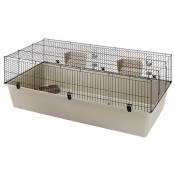 Cage pour lapins Ferplast RABBIT 160 ample métal thermoplastique