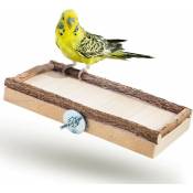 20x10cm avec bois naturel pour perruche calopsitte platforme pour Cage a Oiseaux perroquet plateau, accessoires d'oiseaux allonger, asseoir, dormir