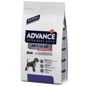 2x12kg Articular Care Senior Affinity Advance Veterinary Diets - Croquettes pour chien