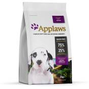 Applaws Puppy Large Breed, poulet pour chiot - 2 x