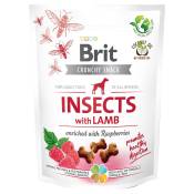 Brit Care Crunchy Cracker, insectes, agneau et framboise - 200 g