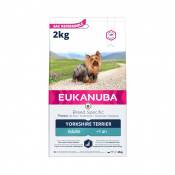 Eukanuba Breed Specific Yorkshire Terrier-