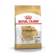 Royal Canin Chihuahua Adult - Croquettes pour chien-Chihuahua Adult